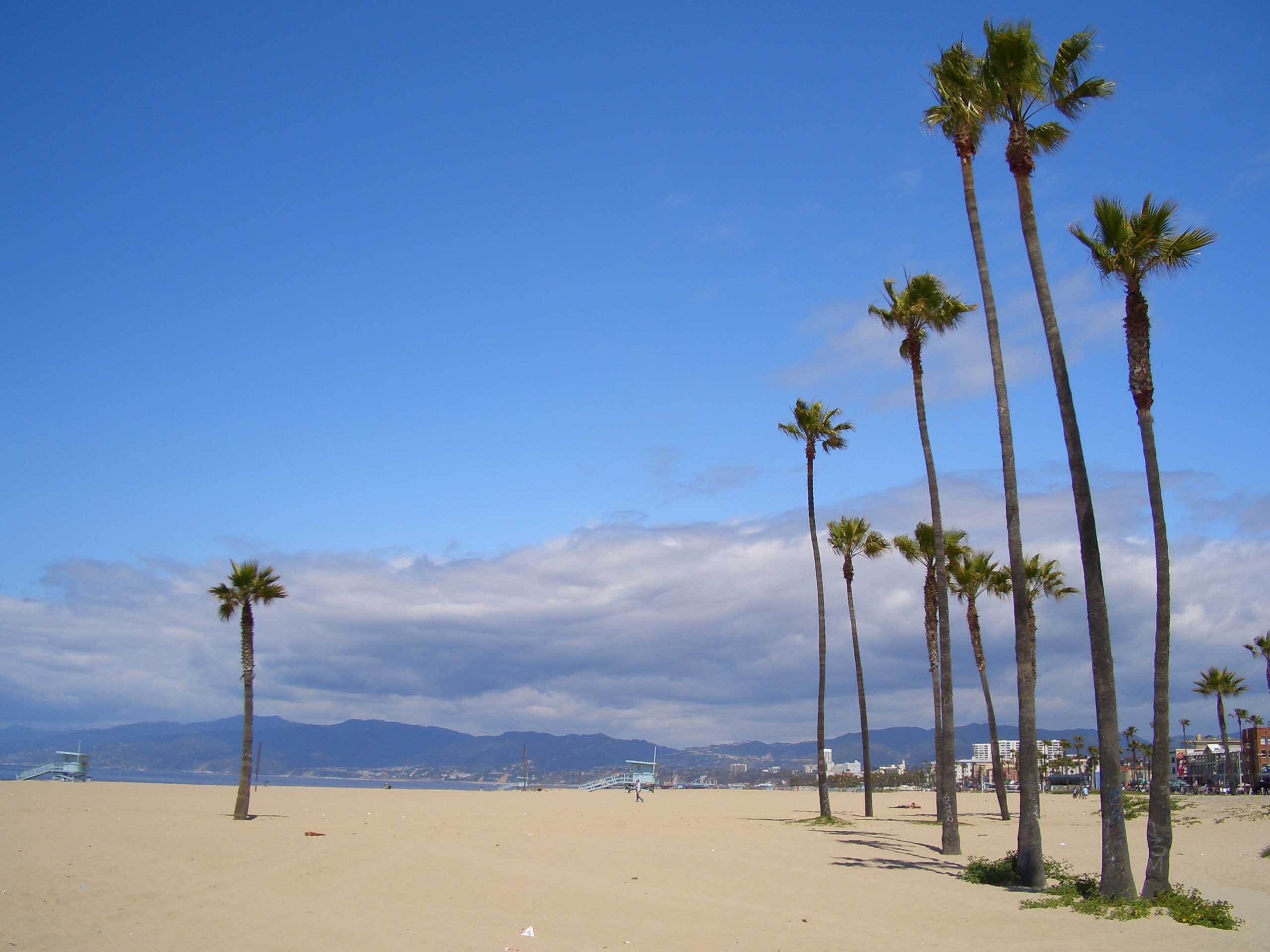 U.S.A. - Venice Beach